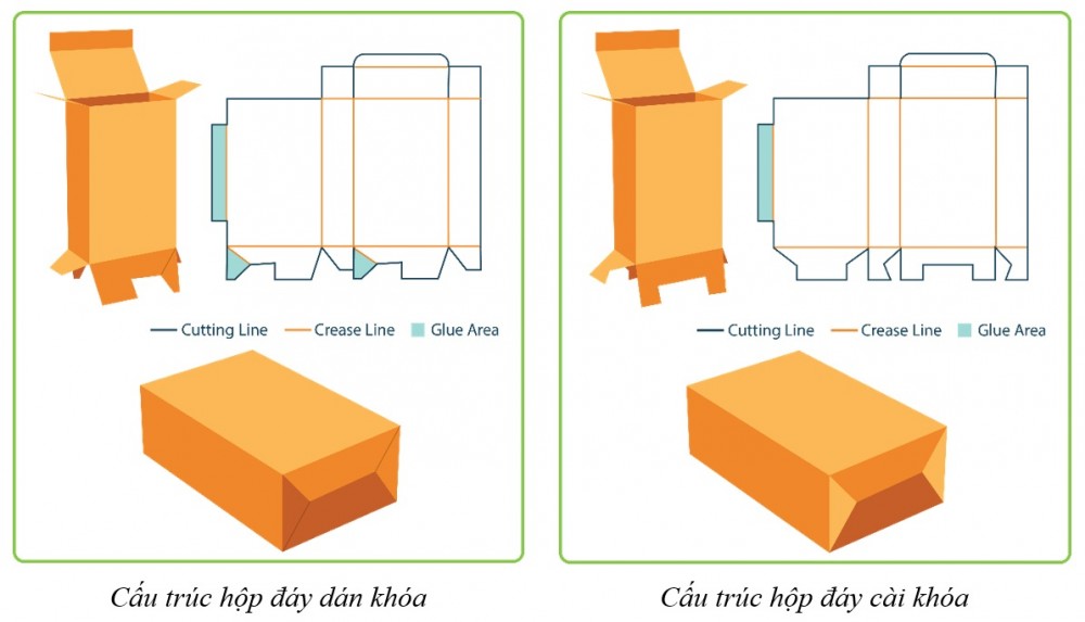 Cấu trúc hộp đáy dán khóa - cài khóa