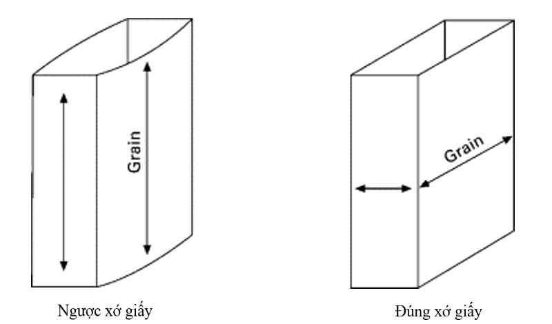 Hướng xớ giấy